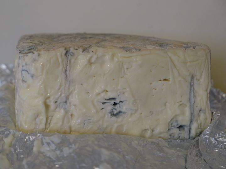 Gorgonzola