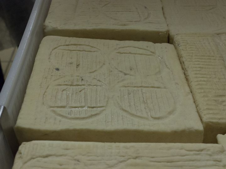 Taleggio