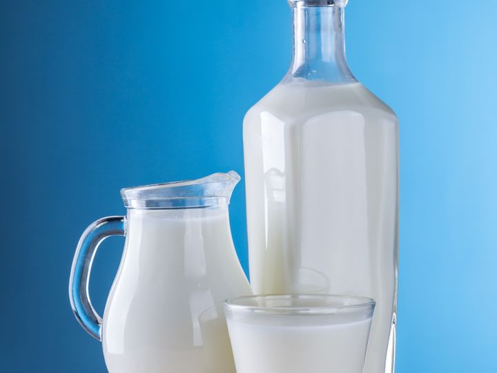 Whole Milk